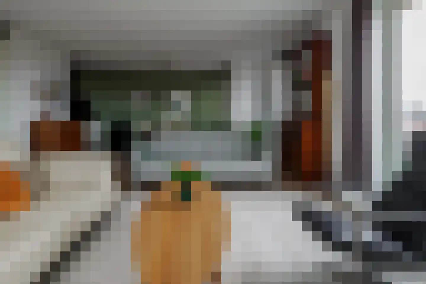 Oldenzaalsestraat 461 33 Hengelo thumbnail 18