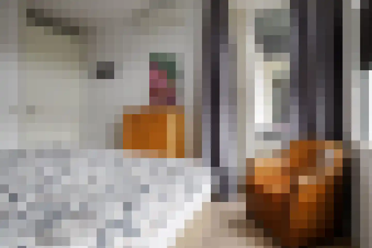 Oldenzaalsestraat 461 33 Hengelo thumbnail 9