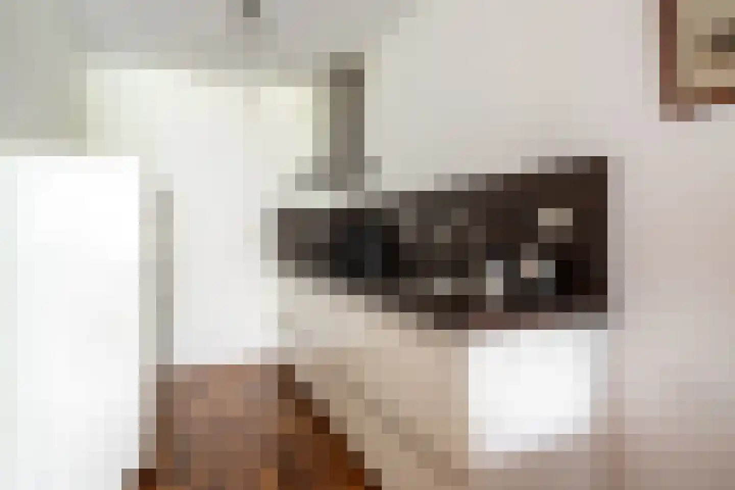 Oldenzaalsestraat 461 5 Hengelo thumbnail 7