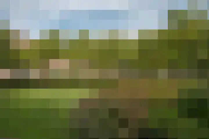 Oldenzaalsestraat 5 T Hengelo thumbnail 32