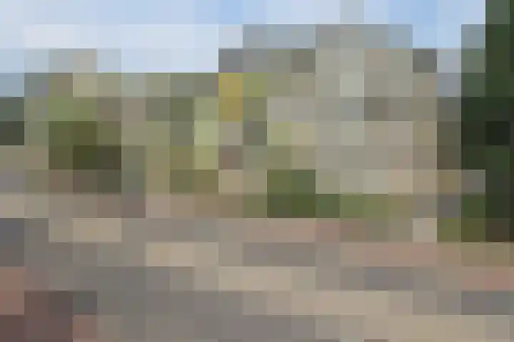 Oldenzaalsestraat 5 T Hengelo thumbnail 5