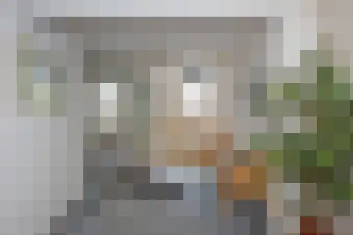Oldenzaalsestraat 5 T Hengelo thumbnail 7