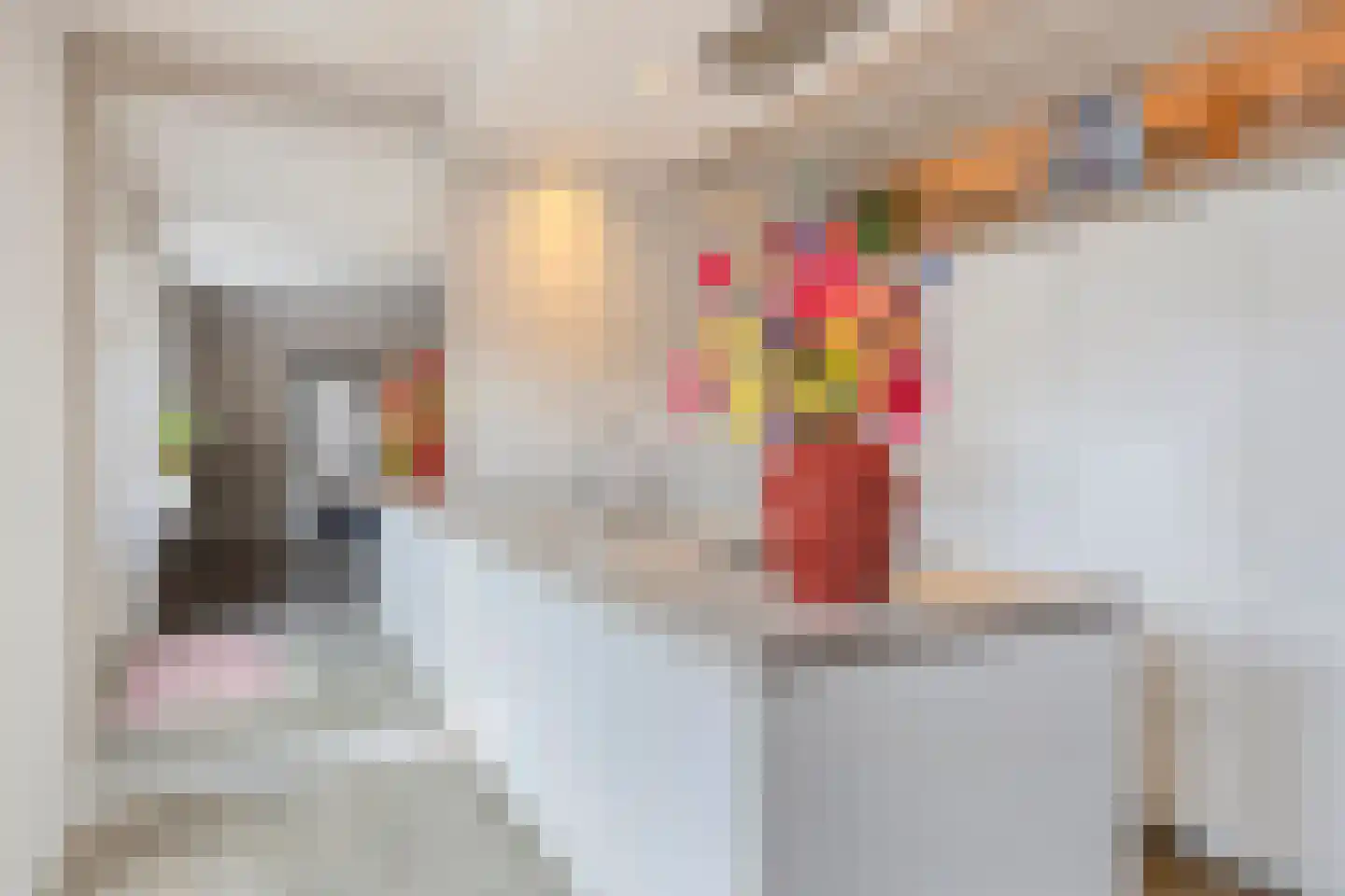 Oldenzaalsestraat 51 Losser thumbnail 15