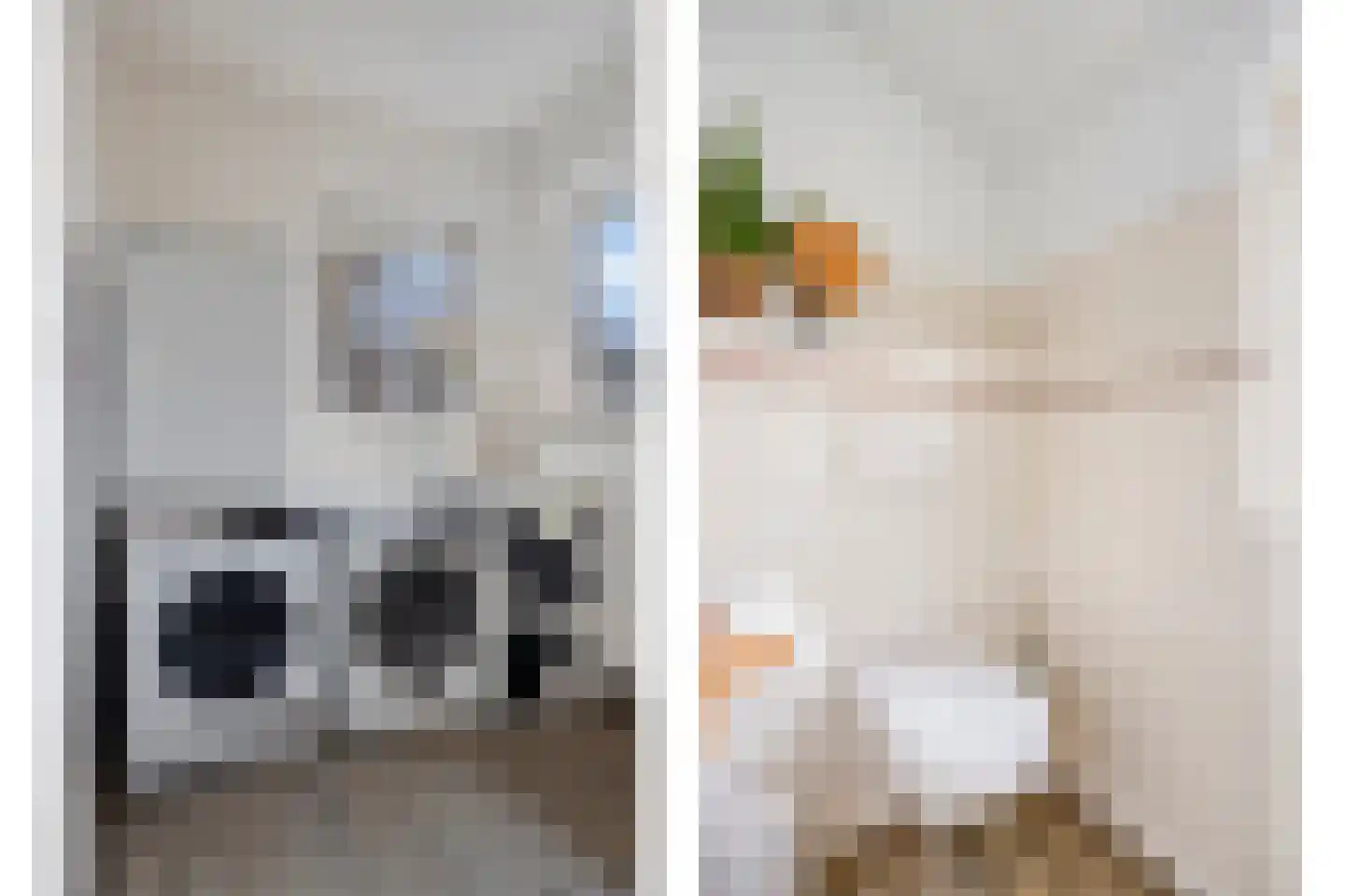Oldenzaalsestraat 51 Losser thumbnail 18