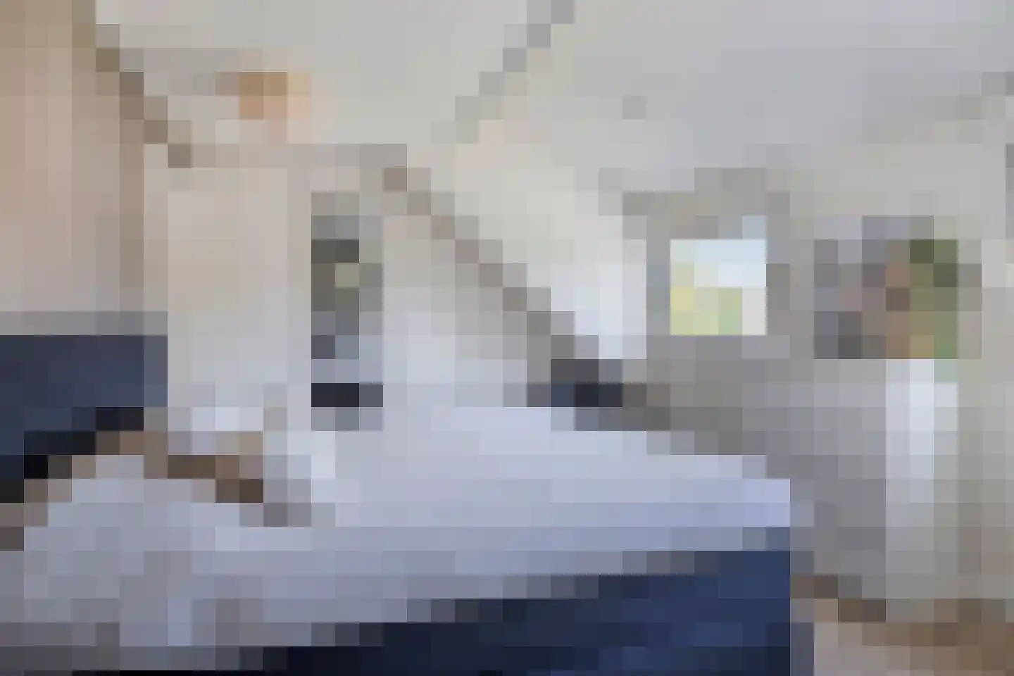 Oldenzaalsestraat 51 Losser thumbnail 21