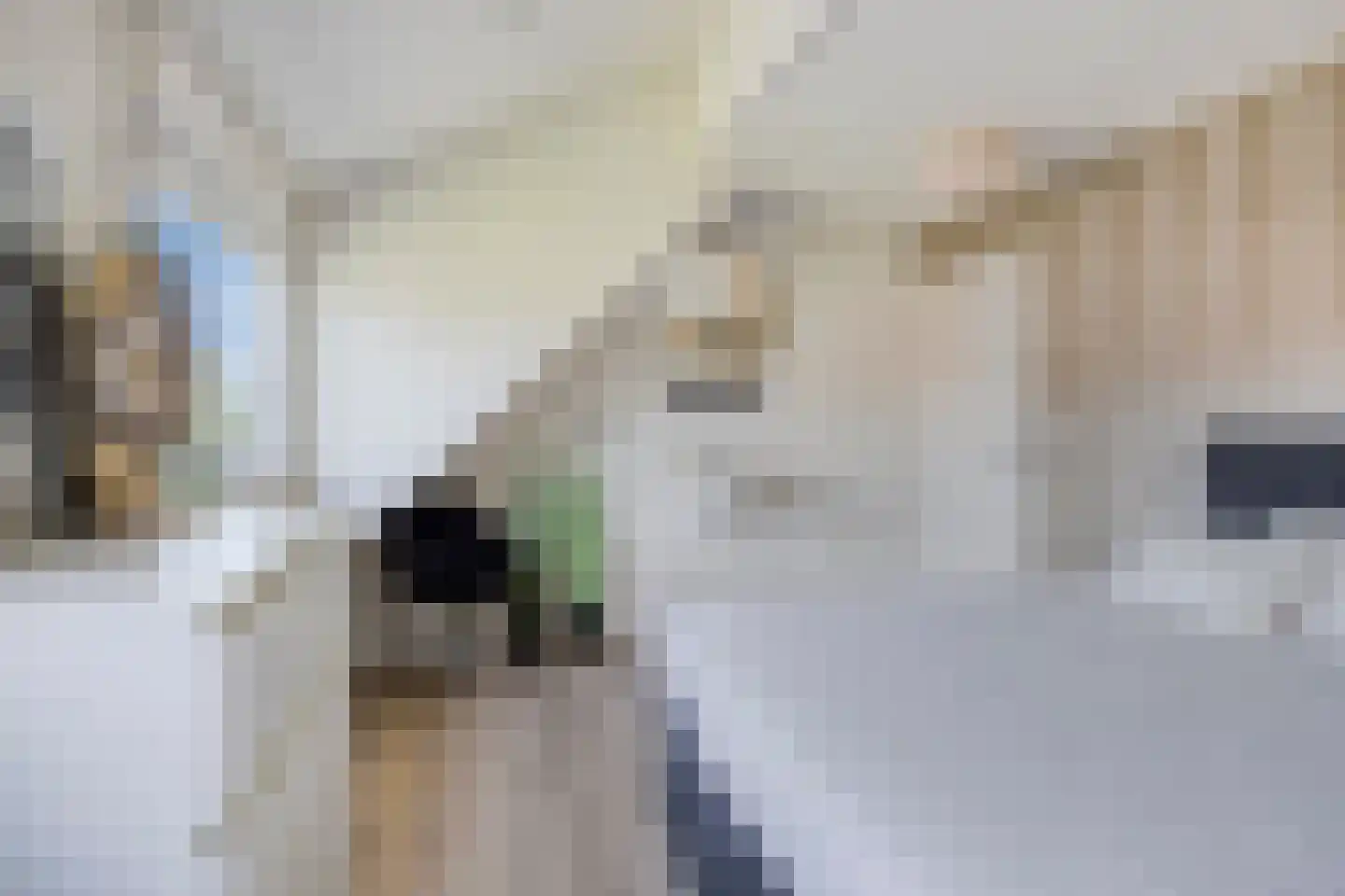 Oldenzaalsestraat 51 Losser thumbnail 22