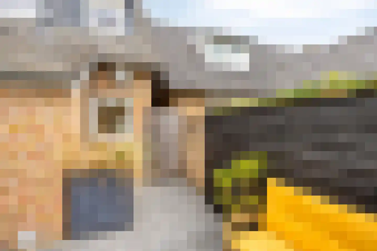 Oldenzaalsestraat 51 Losser thumbnail 32