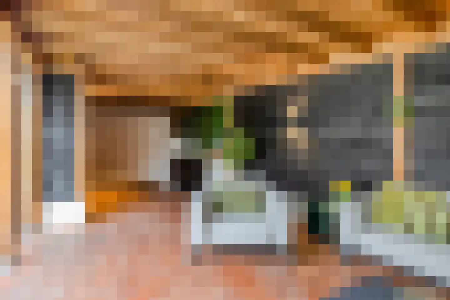 Oldenzaalsestraat 51 Losser thumbnail 37