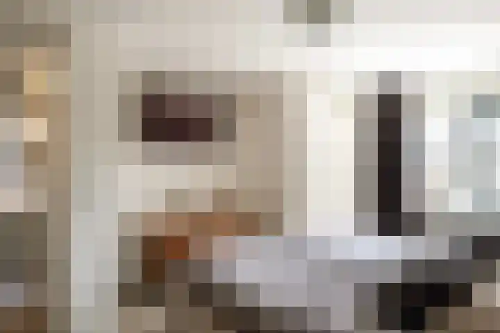 Oldenzaalsestraat 52 Losser thumbnail 24