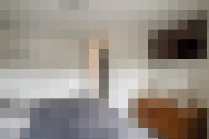 Oldenzaalsestraat 52 Losser thumbnail 25