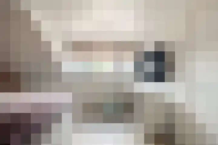 Oldenzaalsestraat 52 Losser thumbnail 31
