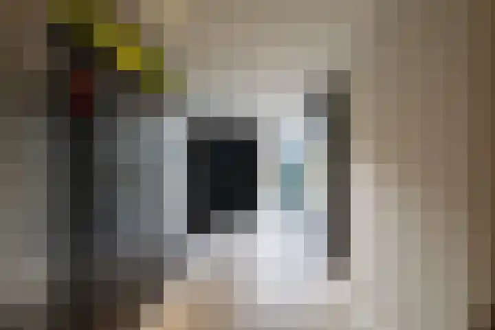 Oldenzaalsestraat 52 Losser thumbnail 32