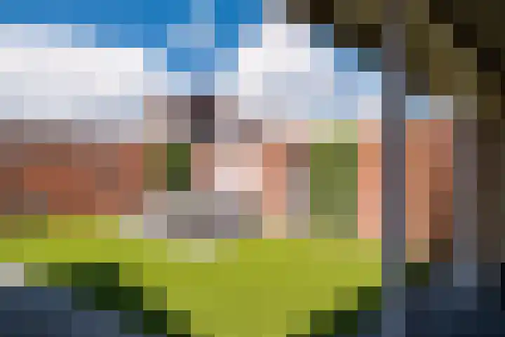 Oldenzaalsestraat 52 Losser thumbnail 33