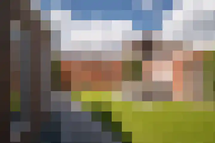Oldenzaalsestraat 52 Losser thumbnail 34