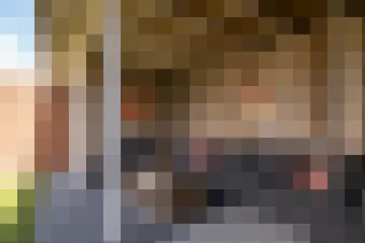Oldenzaalsestraat 52 Losser thumbnail 37