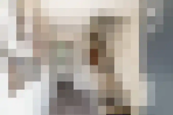 Oldenzaalsestraat 52 Losser thumbnail 5