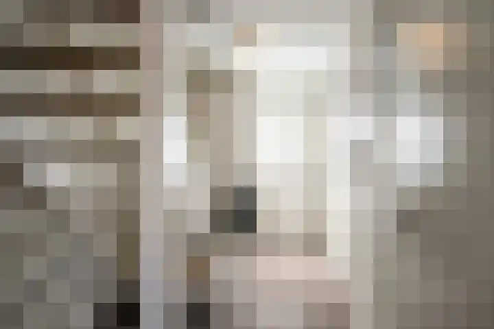 Oldenzaalsestraat 52 Losser thumbnail 6
