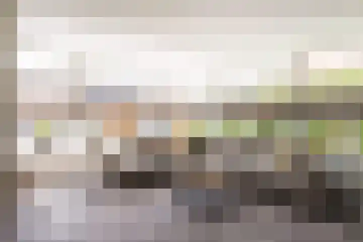 Oldenzaalsestraat 52 Losser thumbnail 9