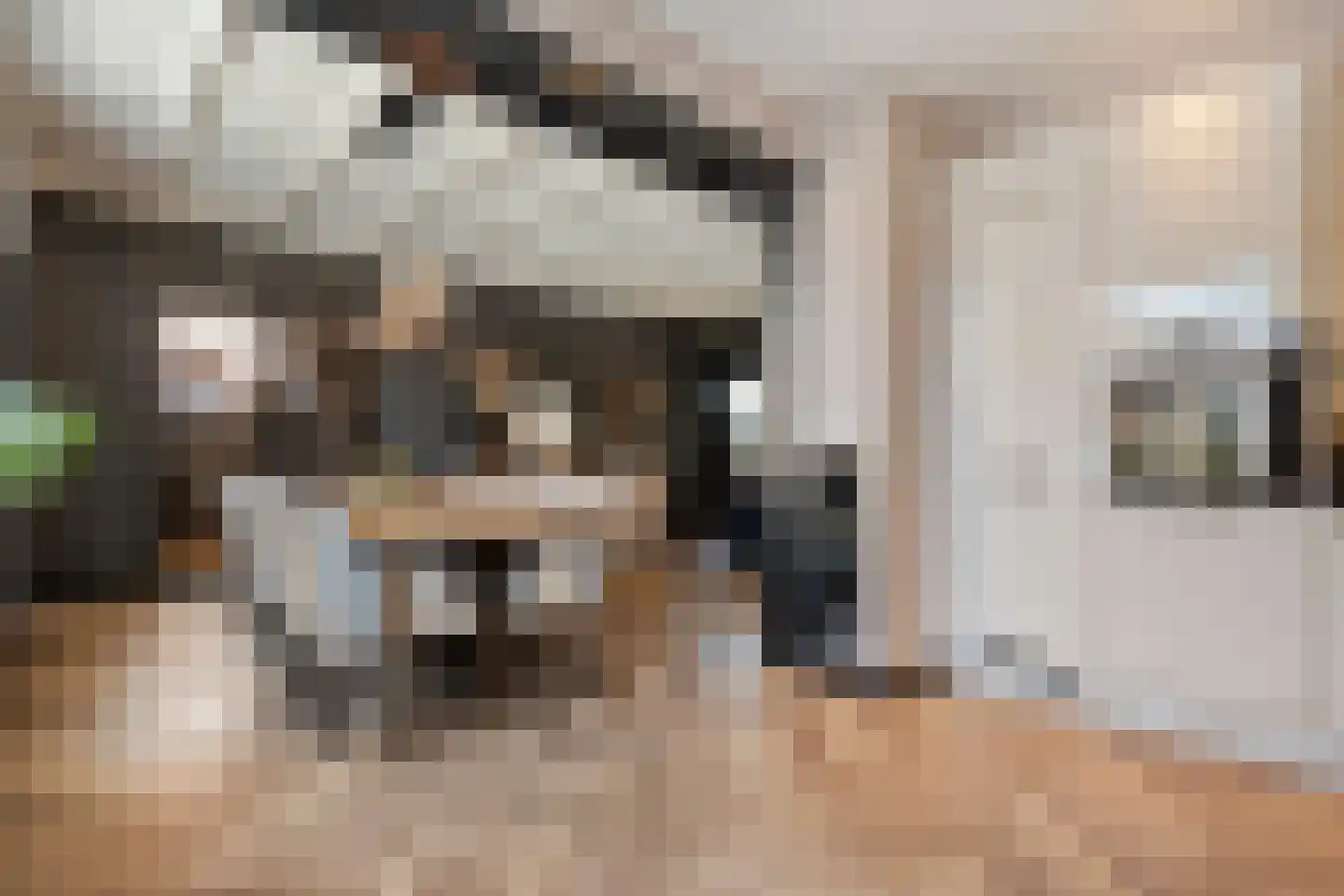 Oldenzaalsestraat 55 Losser thumbnail 14