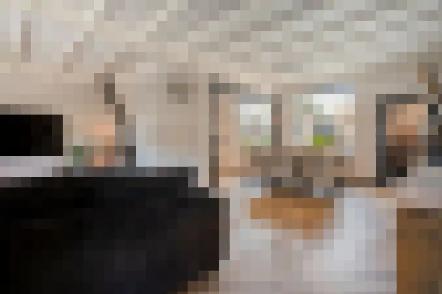 Oldenzaalsestraat 55 Losser thumbnail 15
