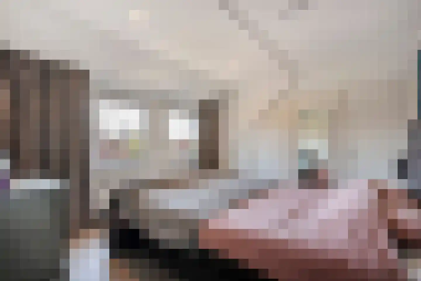 Oldenzaalsestraat 55 Losser thumbnail 23