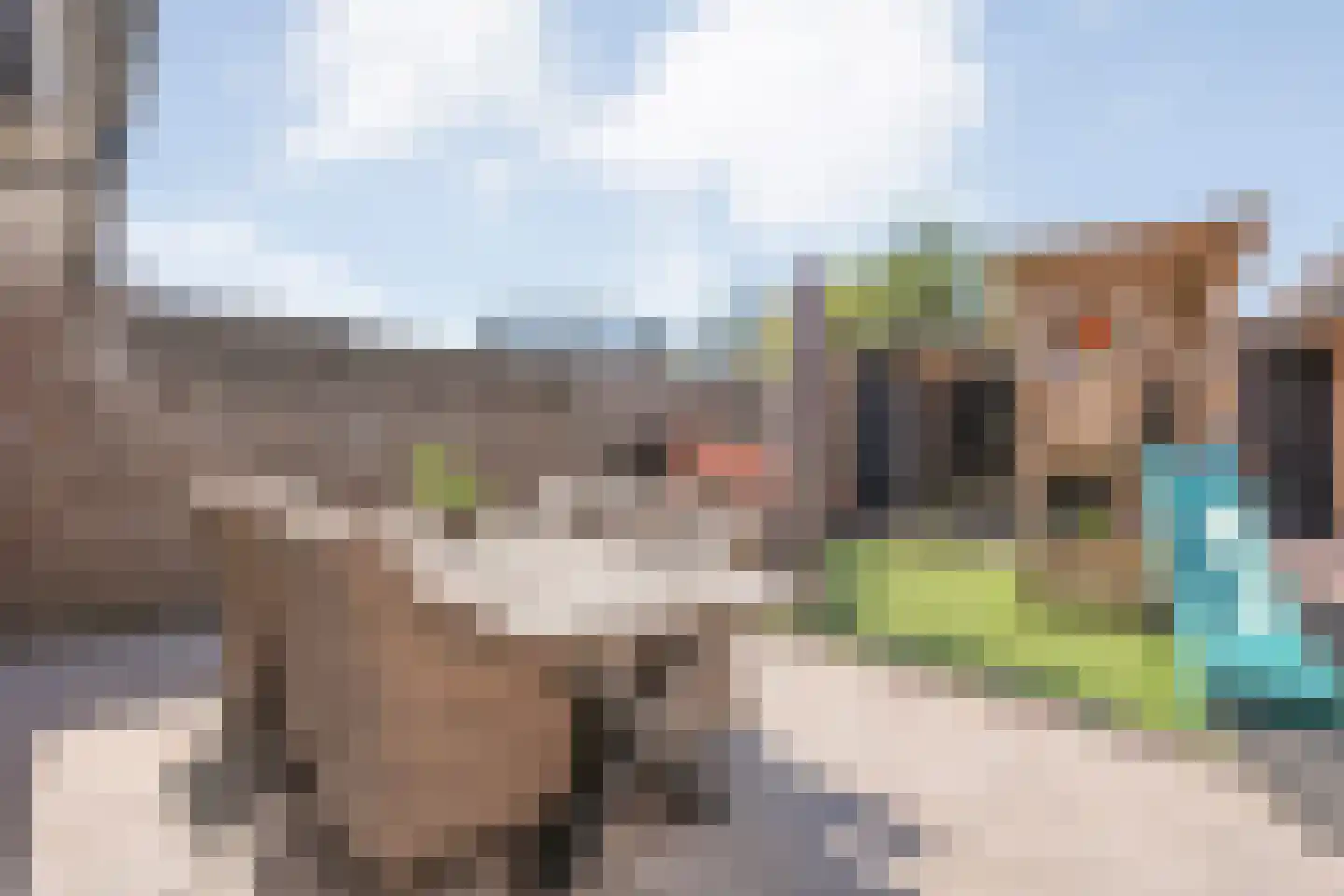 Oldenzaalsestraat 55 Losser thumbnail 4