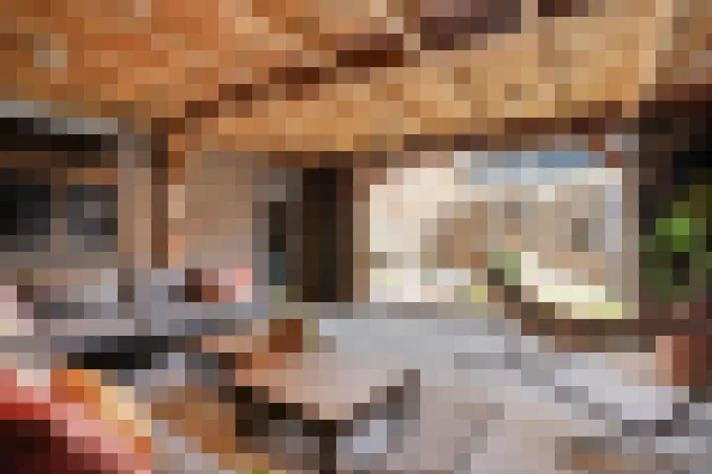 Oldenzaalsestraat 55 Losser thumbnail 40