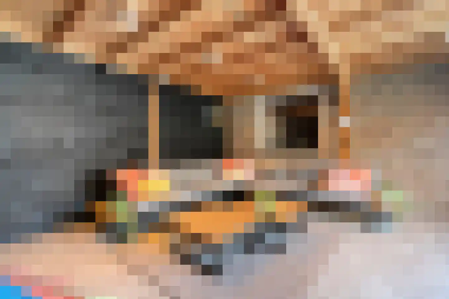 Oldenzaalsestraat 55 Losser thumbnail 41
