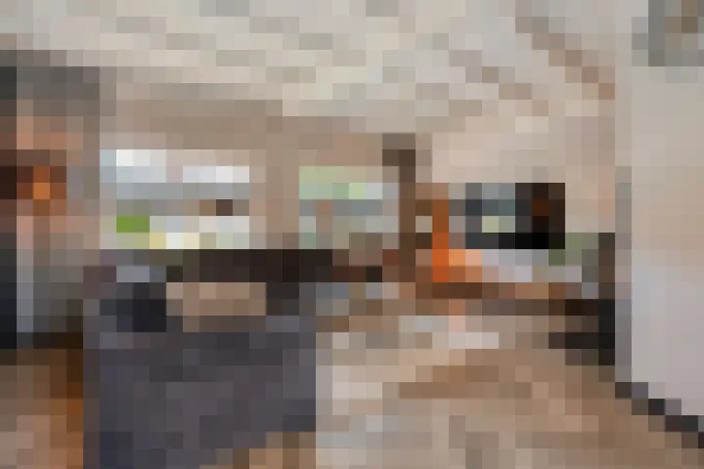 Oldenzaalsestraat 55 Losser thumbnail 9