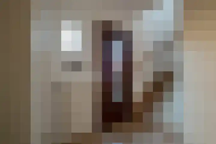 Oldenzaalsestraat 56 Losser thumbnail 7