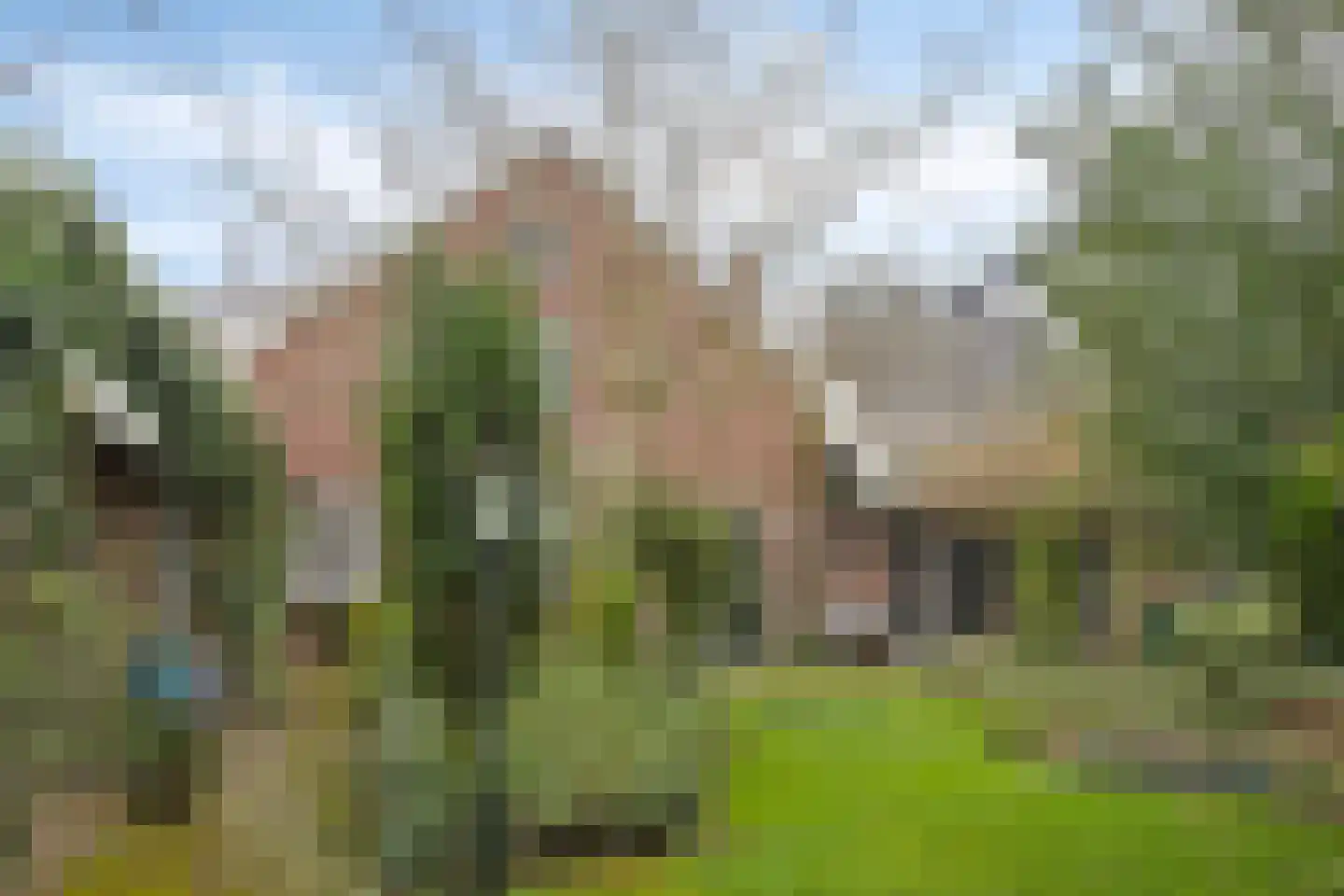 Oldenzaalsestraat 633 Enschede thumbnail 28