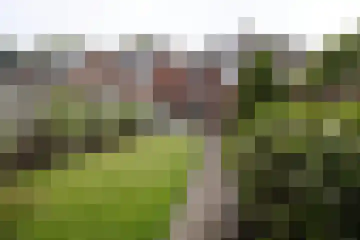 Oldenzaalsestraat 639 Enschede thumbnail 31
