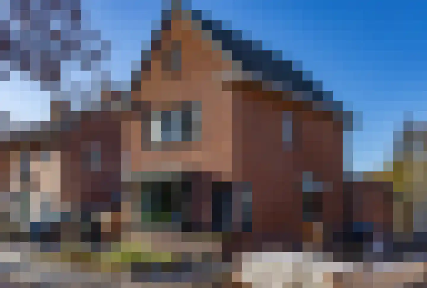 Oldenzaalsestraat 677 Enschede thumbnail 38