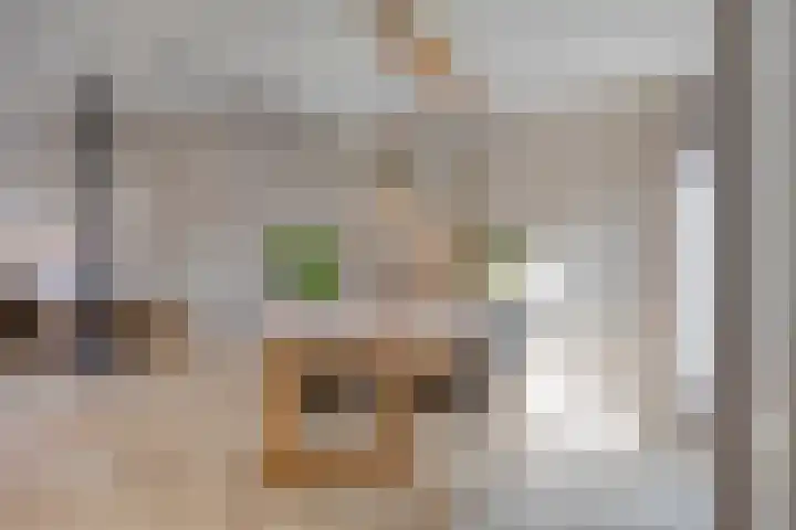 Oldenzaalsestraat 7 Losser thumbnail 13