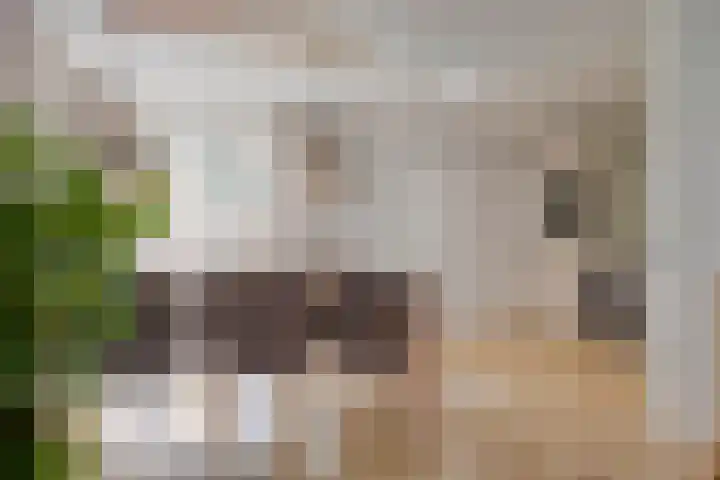 Oldenzaalsestraat 7 Losser thumbnail 14