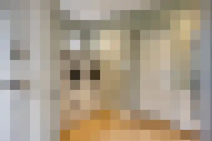 Oldenzaalsestraat 7 Losser thumbnail 19