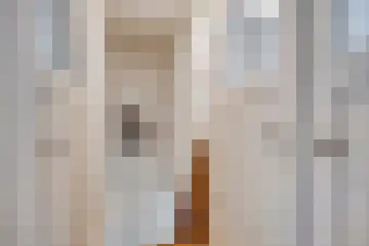Oldenzaalsestraat 7 Losser thumbnail 23