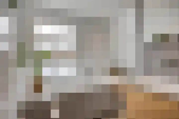 Oldenzaalsestraat 7 Losser thumbnail 26