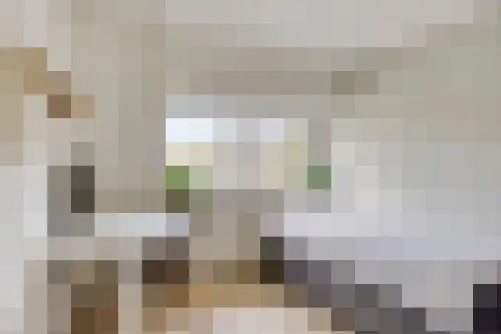 Oldenzaalsestraat 7 Losser thumbnail 29