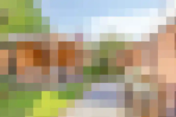 Oldenzaalsestraat 7 Losser thumbnail 32