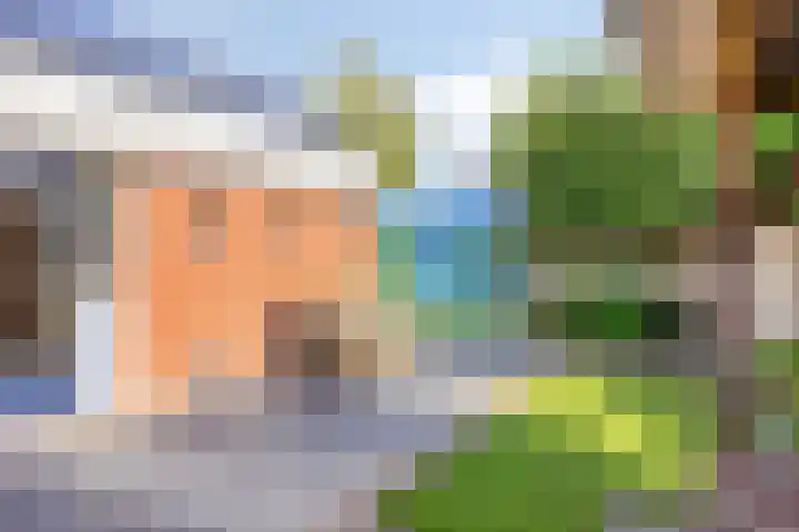 Oldenzaalsestraat 7 Losser thumbnail 35