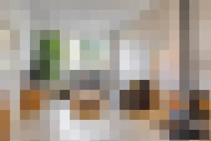 Oldenzaalsestraat 7 Losser thumbnail 7