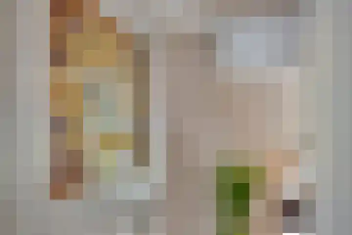 Oldenzaalsestraat 7 Losser thumbnail 9