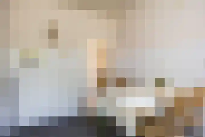 Oldenzaalsestraat 8 Ootmarsum thumbnail 13