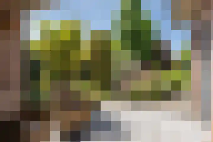 Oldenzaalsestraat 8 Ootmarsum thumbnail 22