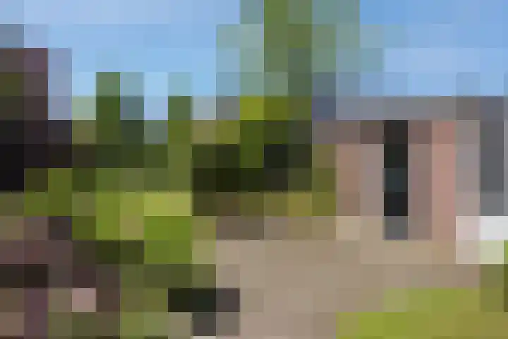 Oldenzaalsestraat 8 Ootmarsum thumbnail 23