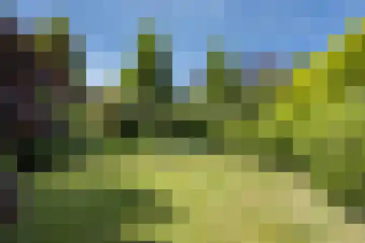 Oldenzaalsestraat 8 Ootmarsum thumbnail 25