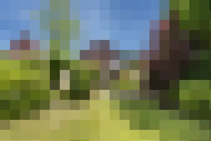 Oldenzaalsestraat 8 Ootmarsum thumbnail 26