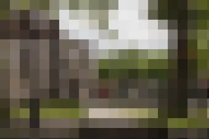 Oldenzaalsestraat 8 Ootmarsum thumbnail 34
