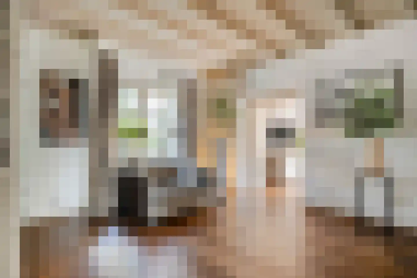 Oldenzaalseweg 11 Tubbergen thumbnail 10